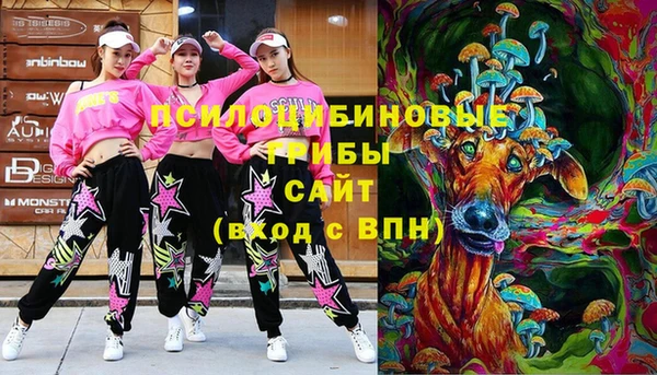 ALPHA-PVP Инсар