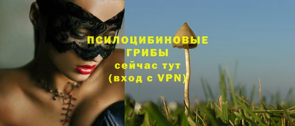ALPHA-PVP Инсар