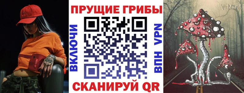 Купить закладки  Никольское  Галлюциногенные грибы GOLDEN TEACHER 
